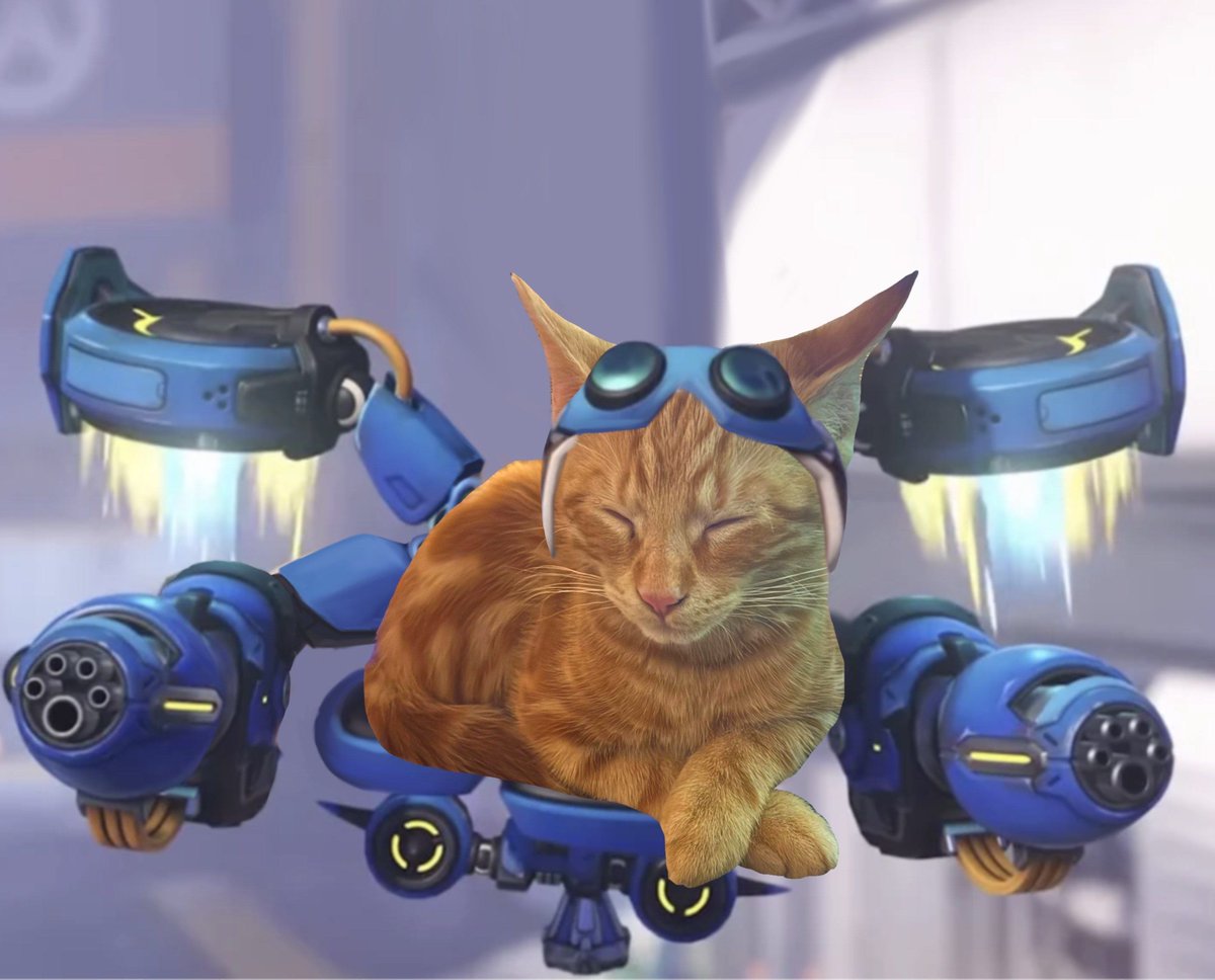 waiting to load into overwatch, my cat as jetpack cat :p