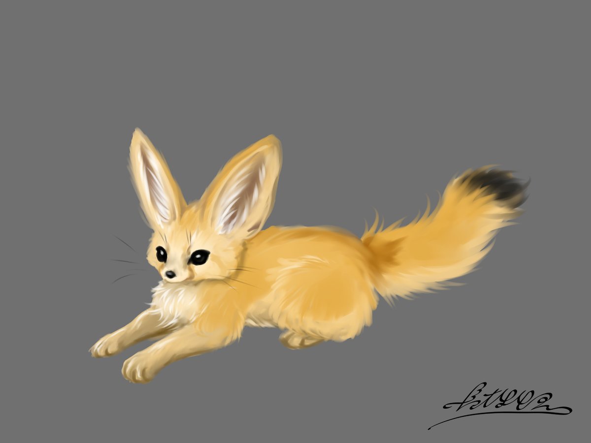 dawnmisty☁️ミスティ (@dawnmisty_cat) on Twitter photo 