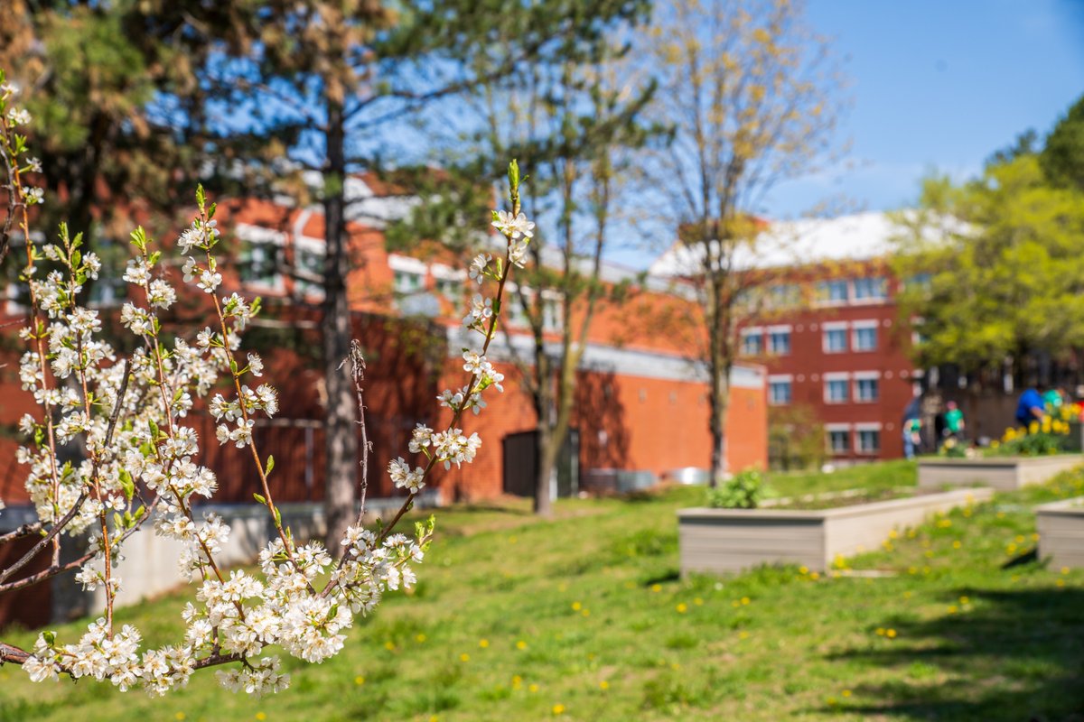 Roxbury CC tweet media