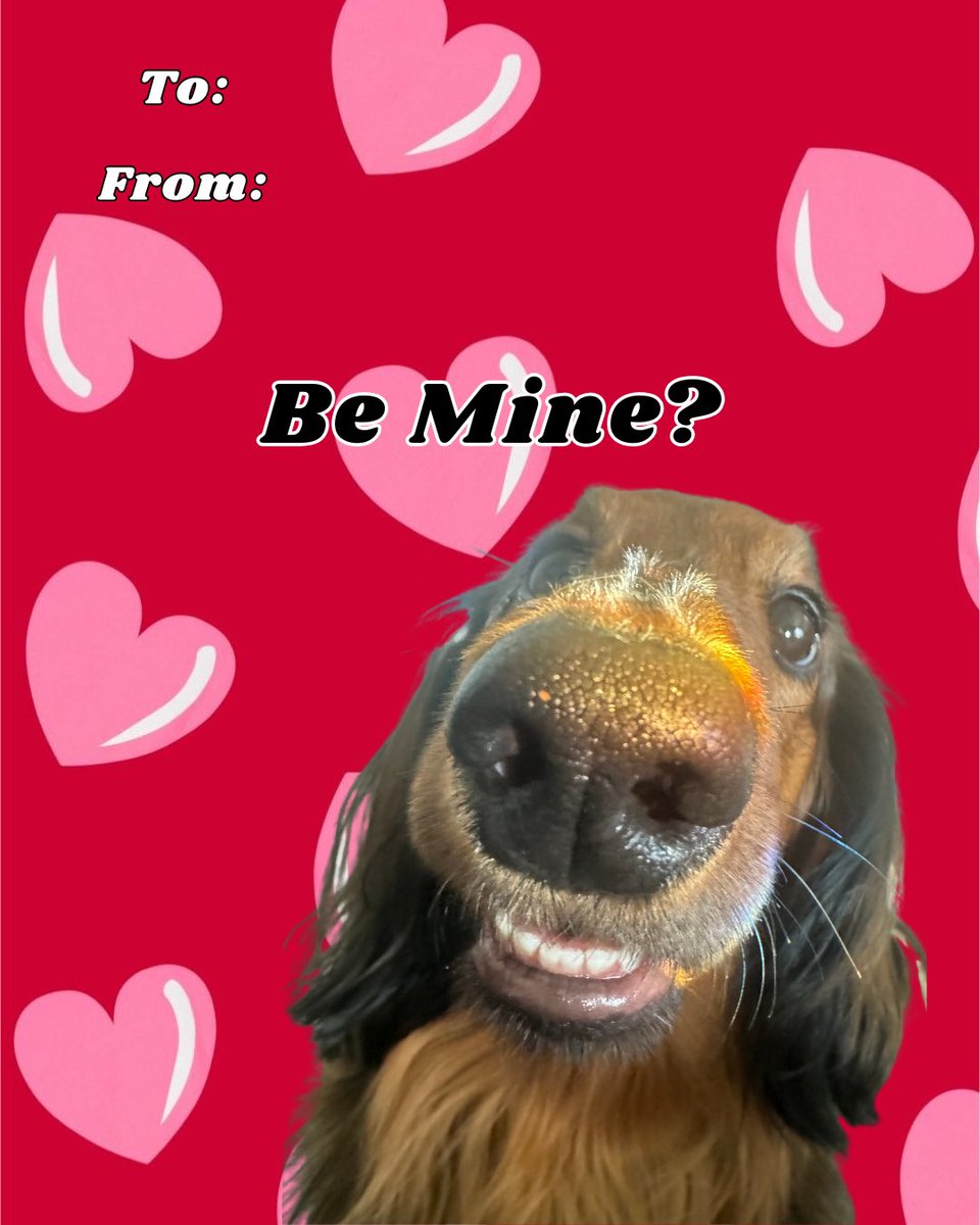 The Weens tweet media