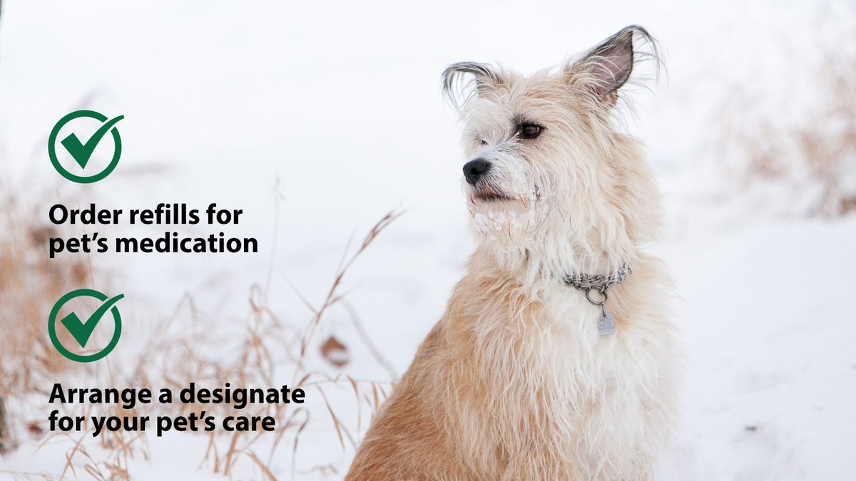 WCVM Today tweet media