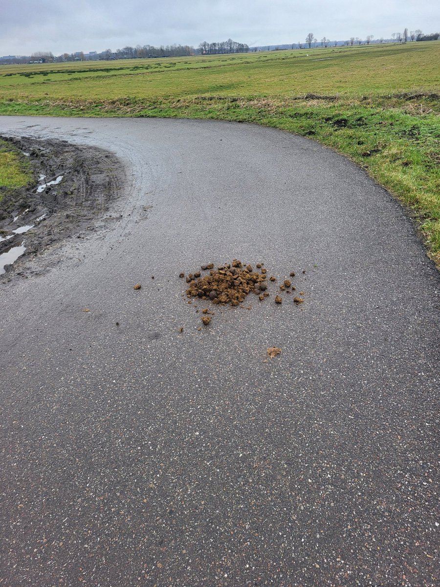 Dave Timmers tweet media