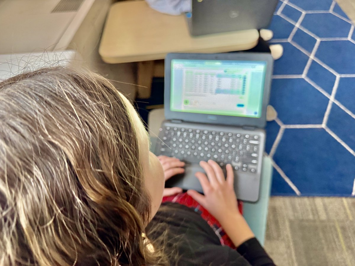 Steve Matthews tweet media