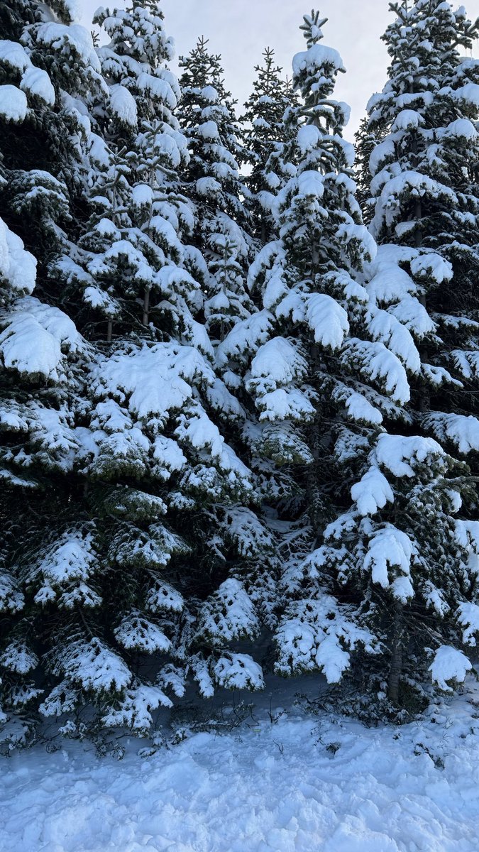 fajerr_als's tweet photo. Winter feels❄️☃️. https://t.co/EWRNocpXQE