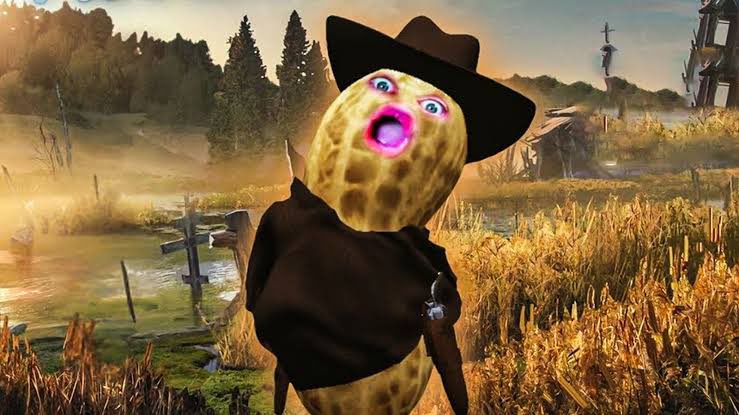 peanutburnt's tweet image. Repost if you love the burnt peanut ❤️🥜