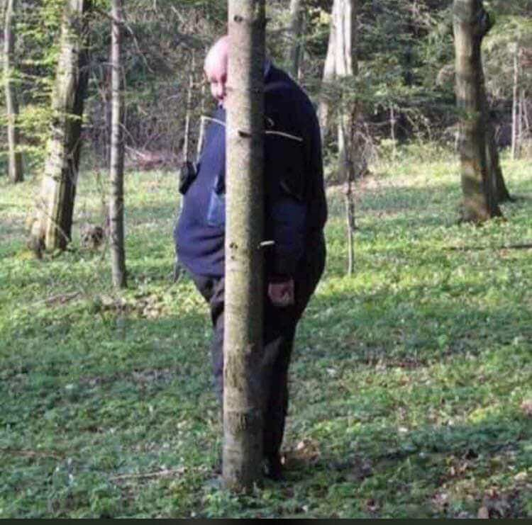 Bad Beavers tweet media