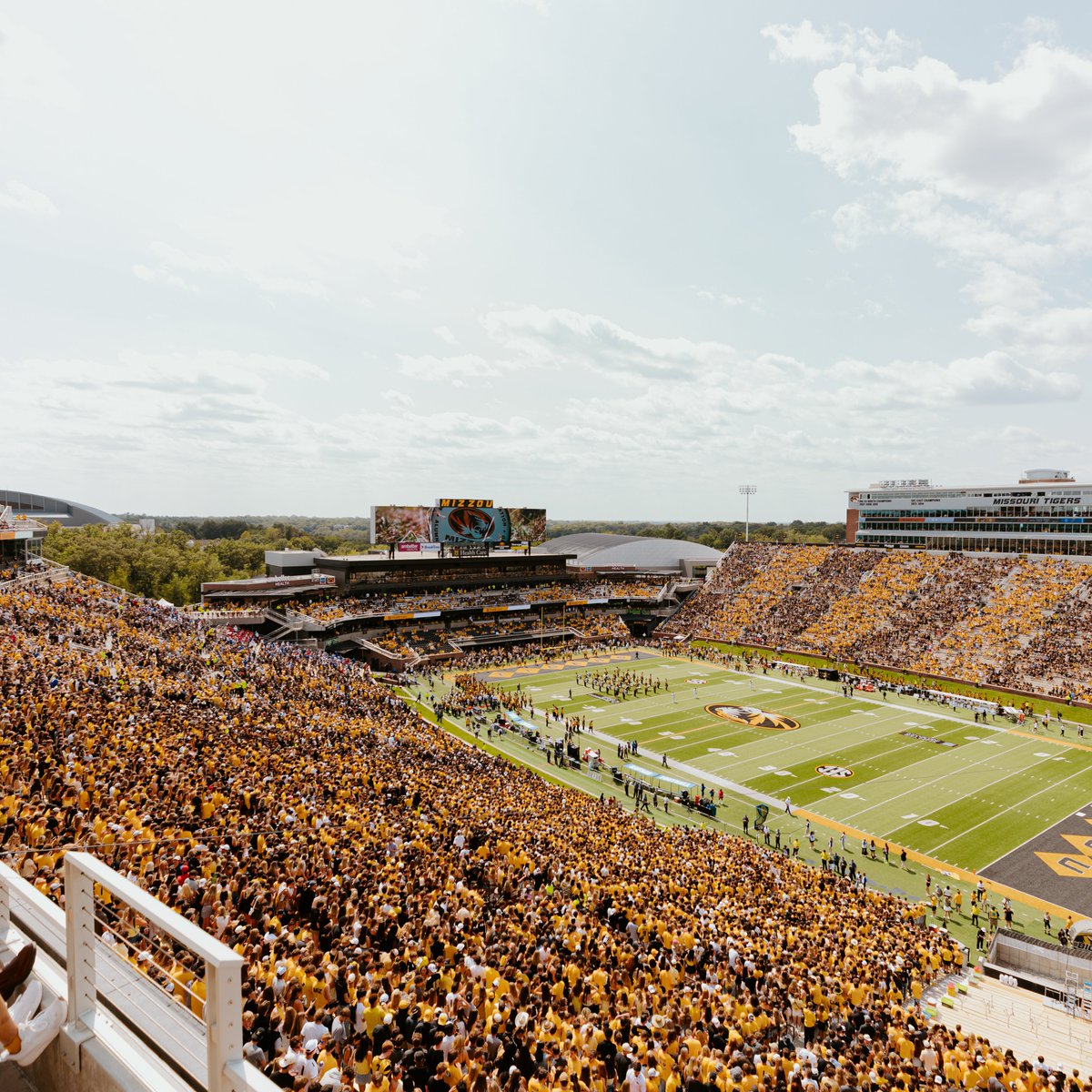 Mizzou Athletics tweet media