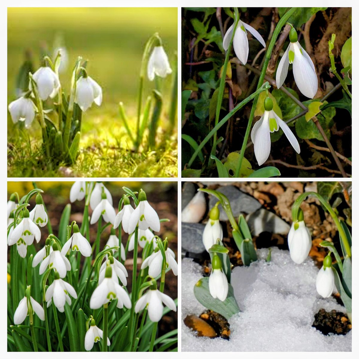 のんちゃんにﾎﾟﾁｯ❤️❤️❤️