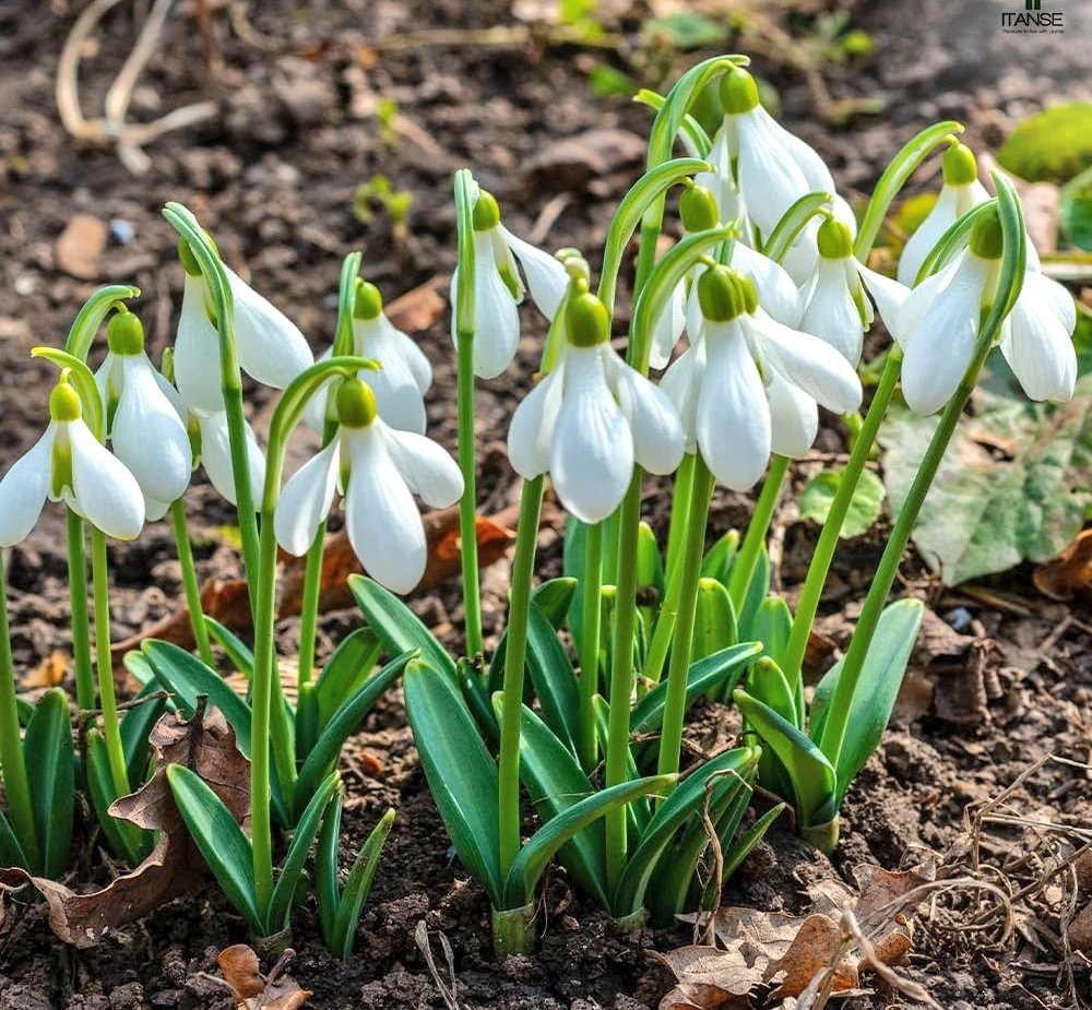 のんちゃんにﾎﾟﾁｯ❤️❤️❤️