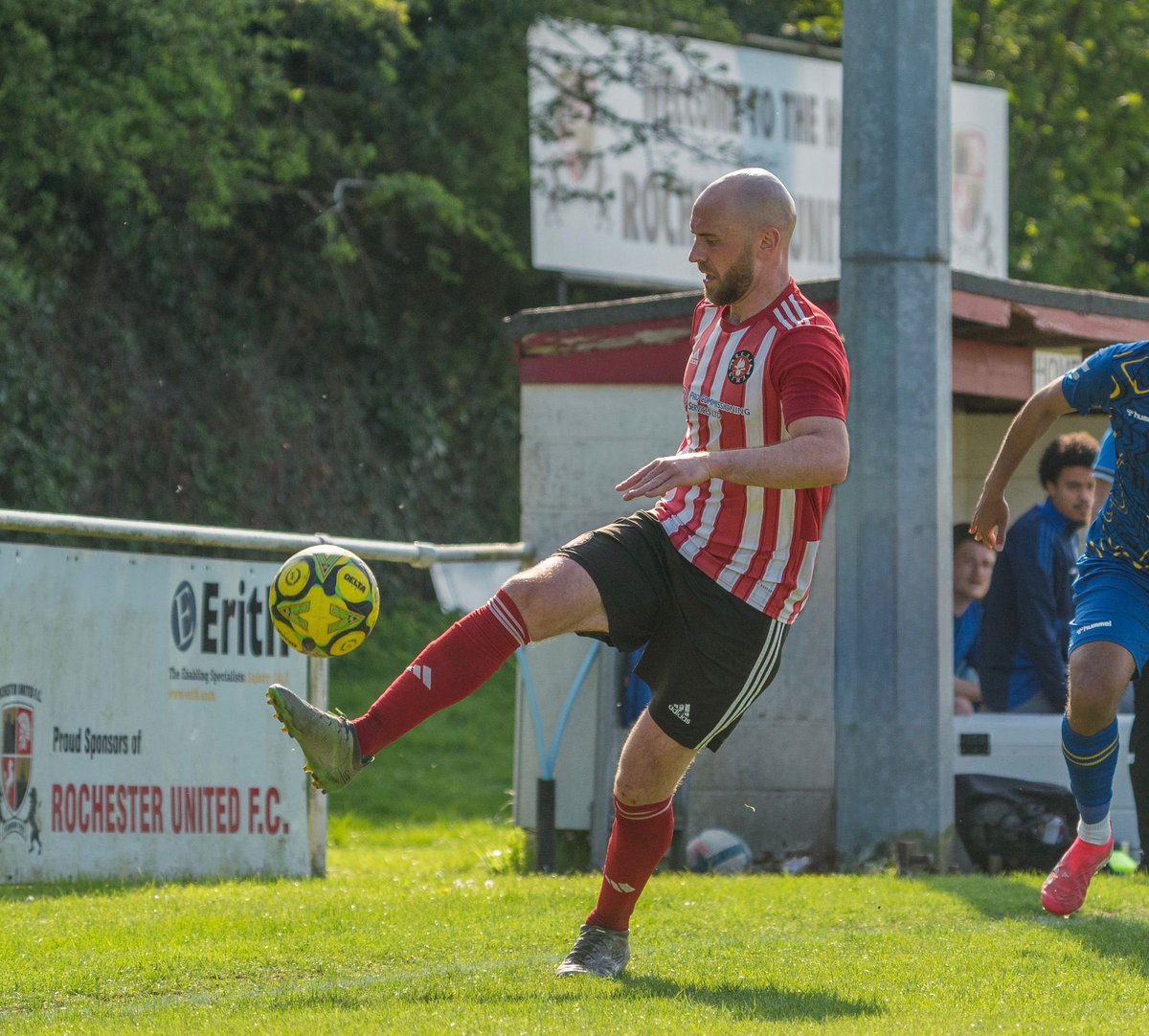 Real Gima tweet media