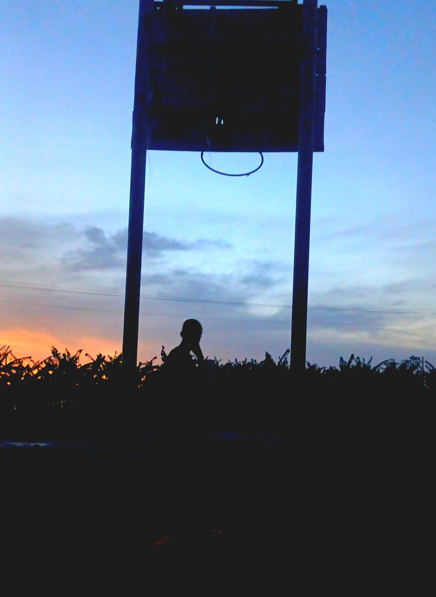 DobrillMuks's tweet photo. It's a beautiful evening ✨️ 😍 https://t.co/pWS78VnJQx