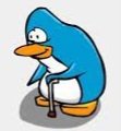 Poroto tweet media