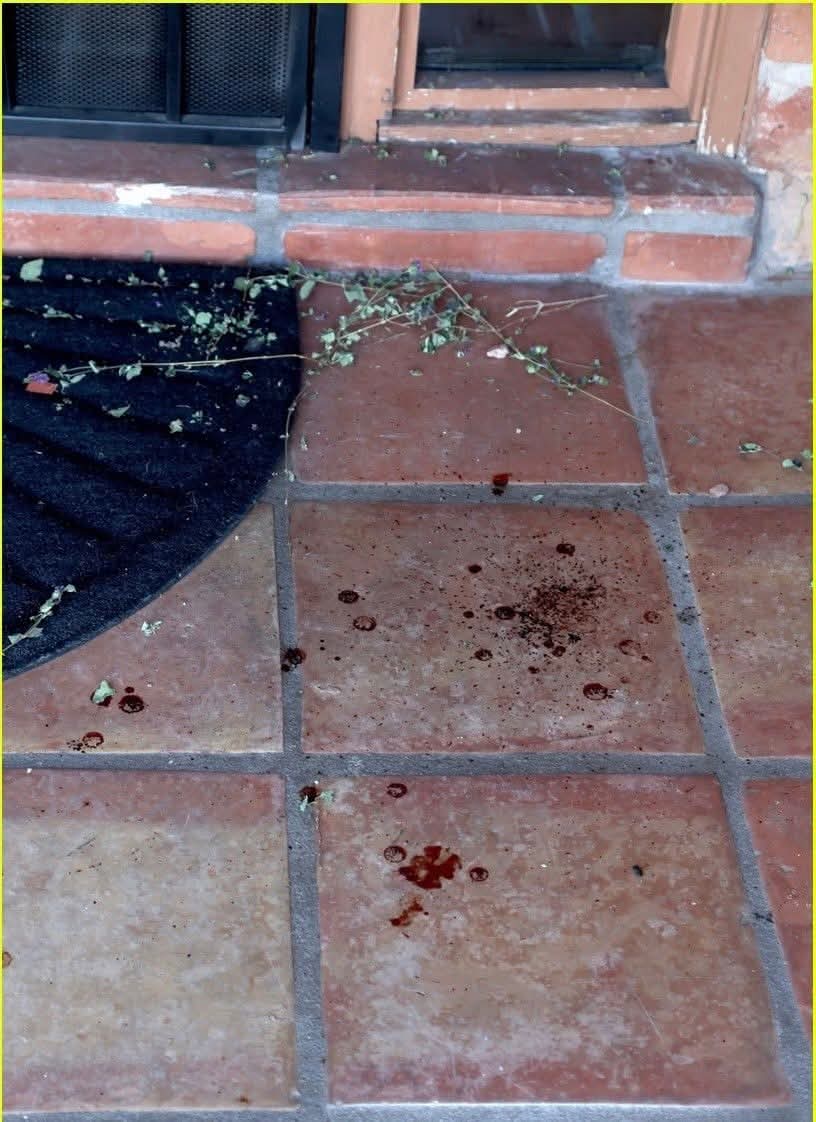 fernand92070192's tweet photo. NEW🚨 BREAKING: FBI releases images of masked armed individual at Nancy Guthrie home https://t.co/IiLTxQH3Ye