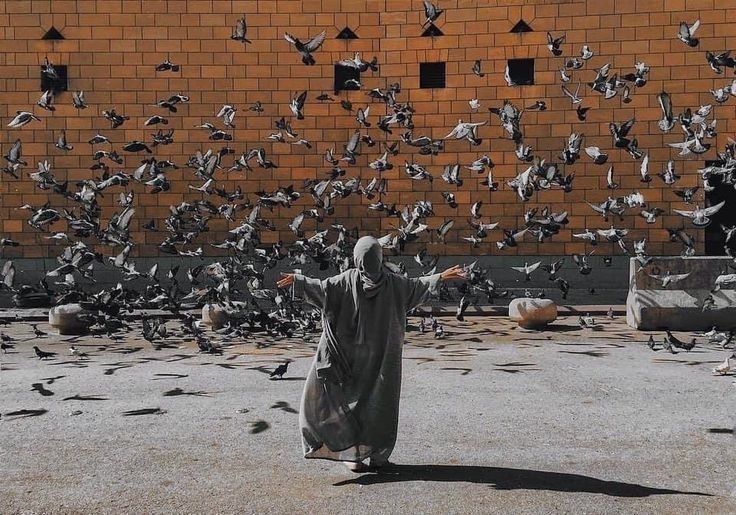 Bilmem ki kuşlar,  bu hengâmenin neresine uçar.