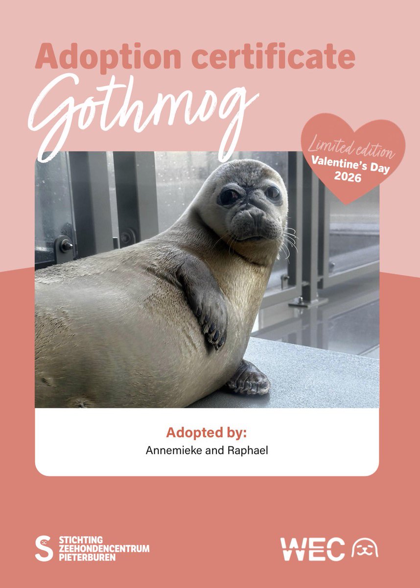 cocoa (@nekoneko898) / Posts / X