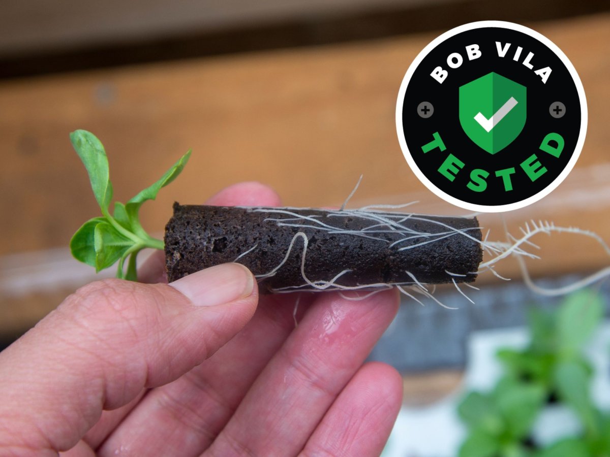DustinMPeyser's tweet image. I Finally Found a Seed-Starting System That Actually Works All Winter dlvr.it/TQtN6F 👉 Reveal Your ROI bit.ly/MyHomeAI 👈 #SeedStarting #Hydroponics #IndoorGardening #AeroGarden #WinterGardening