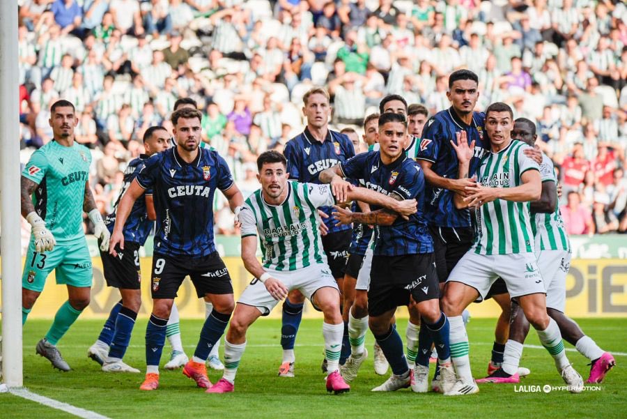 Vicente Beltrán tweet media