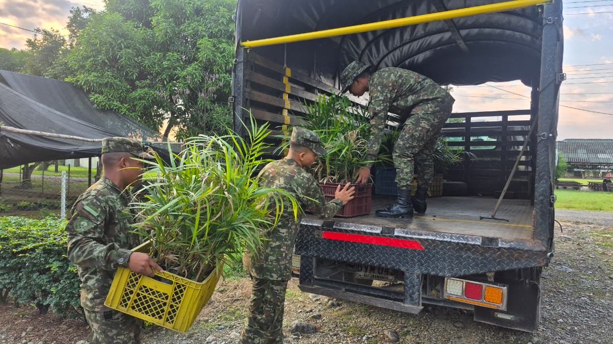 Ejercito_Div6's tweet photo. #CustodiosDelMedioAmbiente | Soldados del #BIROR25 – #Brigada27, junto a NaturAmazonas, sembraron 15.400 plántulas nativas en Villagarzón, #Putumayo, en defensa de la Amazonía y la vida. 🇨🇴🌿 https://t.co/jn6QQfi7Eb