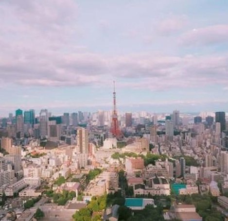 どんなの女ですか？ 👱