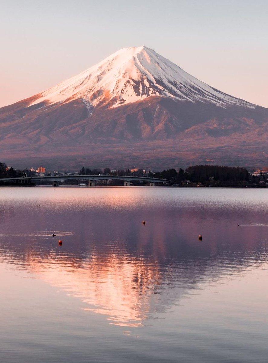 LoutfiJava's tweet image. ドライブを午前終わる 🧃