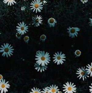 Jessica_Chomik's tweet image. 動物を見る 🤥