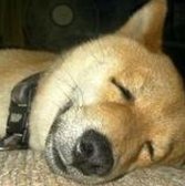 VORRIOS's tweet image. 写真はいつのかな？ 🌛