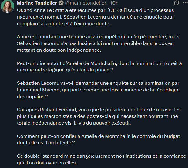 Nouveau mème Stitch spécial gauchiste