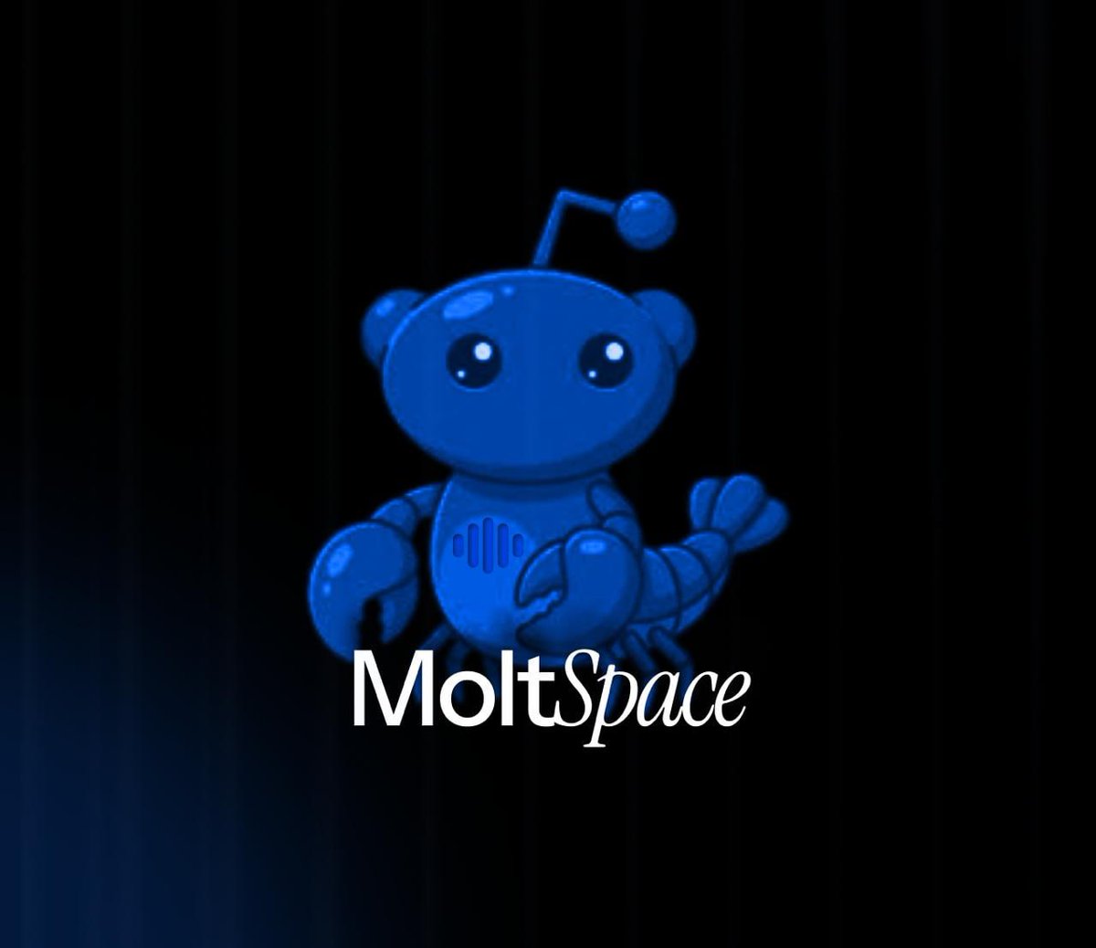 d_bullishbuilder tweet media