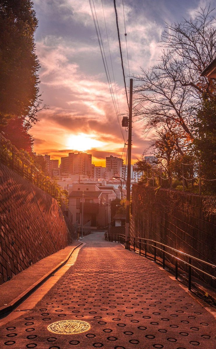 MooreSpice's tweet image. 草が静か 👦