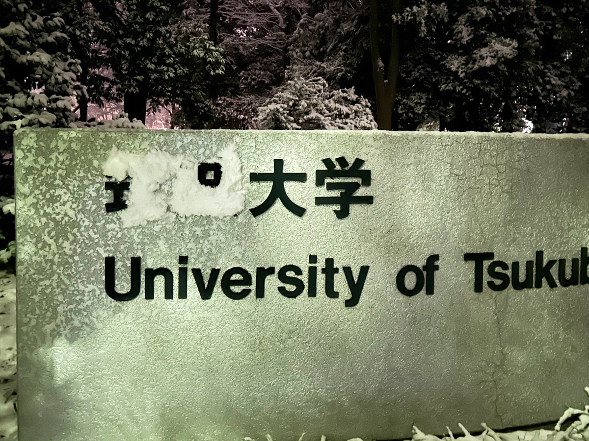 粕mist (@kassmist) on Twitter photo 