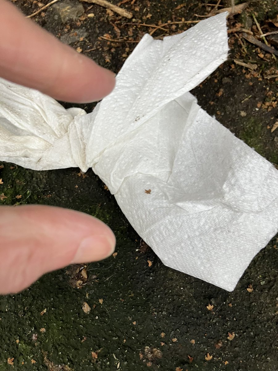 @_pickuplitter tweet media