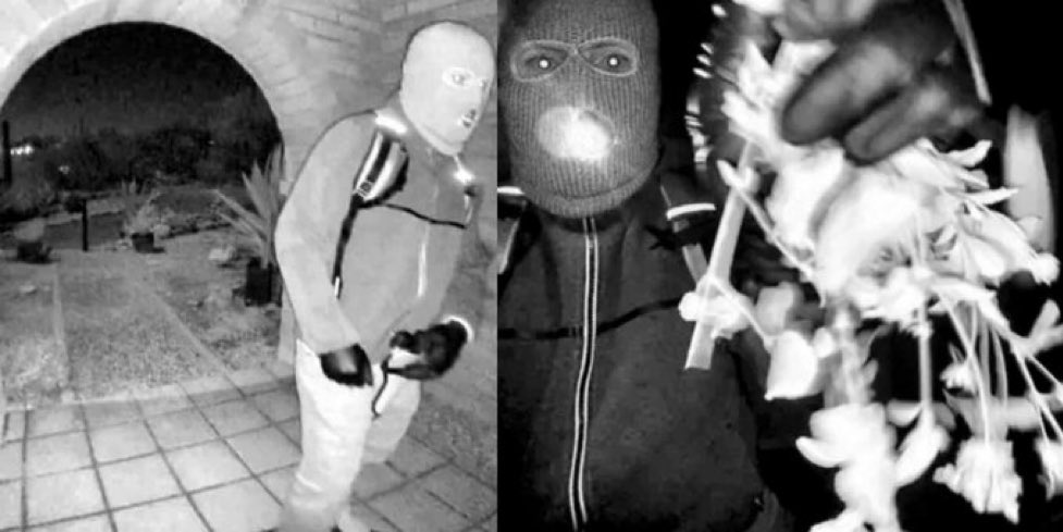 Vox_Oculi's tweet image. The Nancy Guthrie suspect is a skier! 

Audit the Winter Olympics NOW!