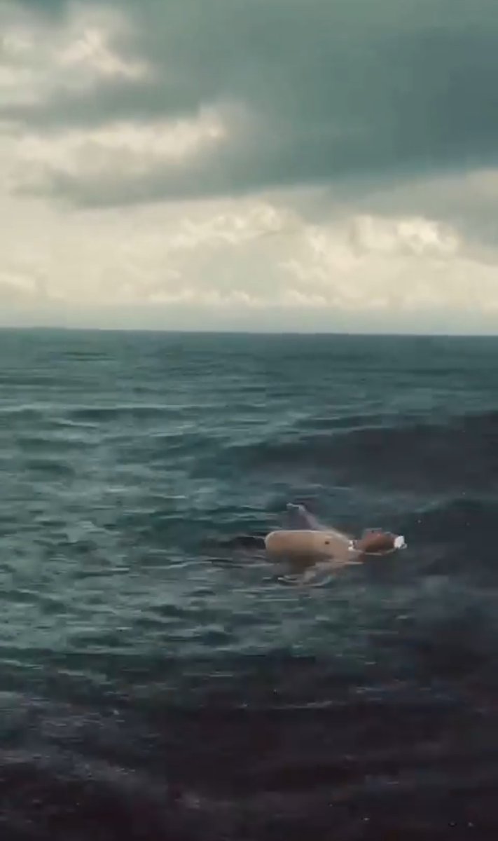 İyi olacaksın, fırtınalar sonsuza kadar sürmez.