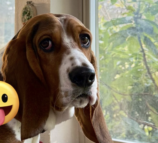 SeizureSalad 🧠 tweet media