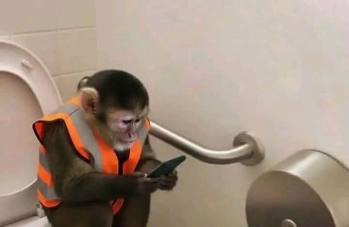 Me at work sending my CV to the new job