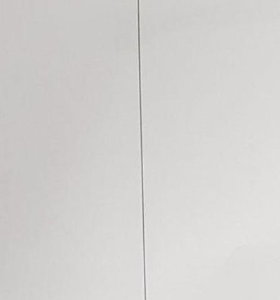 comandoRG's tweet image. 近い耳 🦓