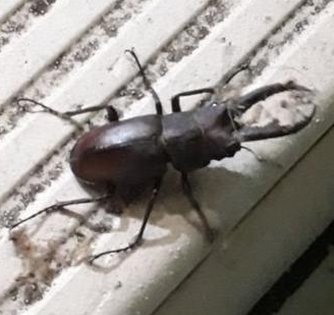 computerman72's tweet image. 仕事がドキドキ 😗