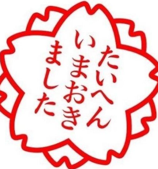 agentjpowell's tweet image. 映画鑑賞を夜楽しむ 🧕