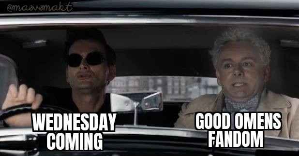 MaeveMakt🥀🖤 tweet media