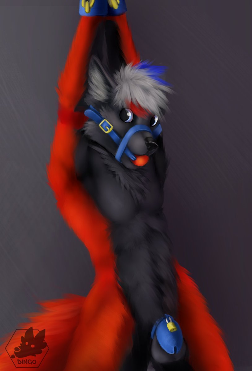 Commission YCH for DeadOnTheMoon (FA)l   

This boy never gets tired of showing off how cute he is X//3

(My FA: furaffinity.net/user/dingodiego)

#male #summation #domination #bondage #bdsm #wolf #butt #gay #alley #public #muzzle #gag #castity #cage #chastity_cage