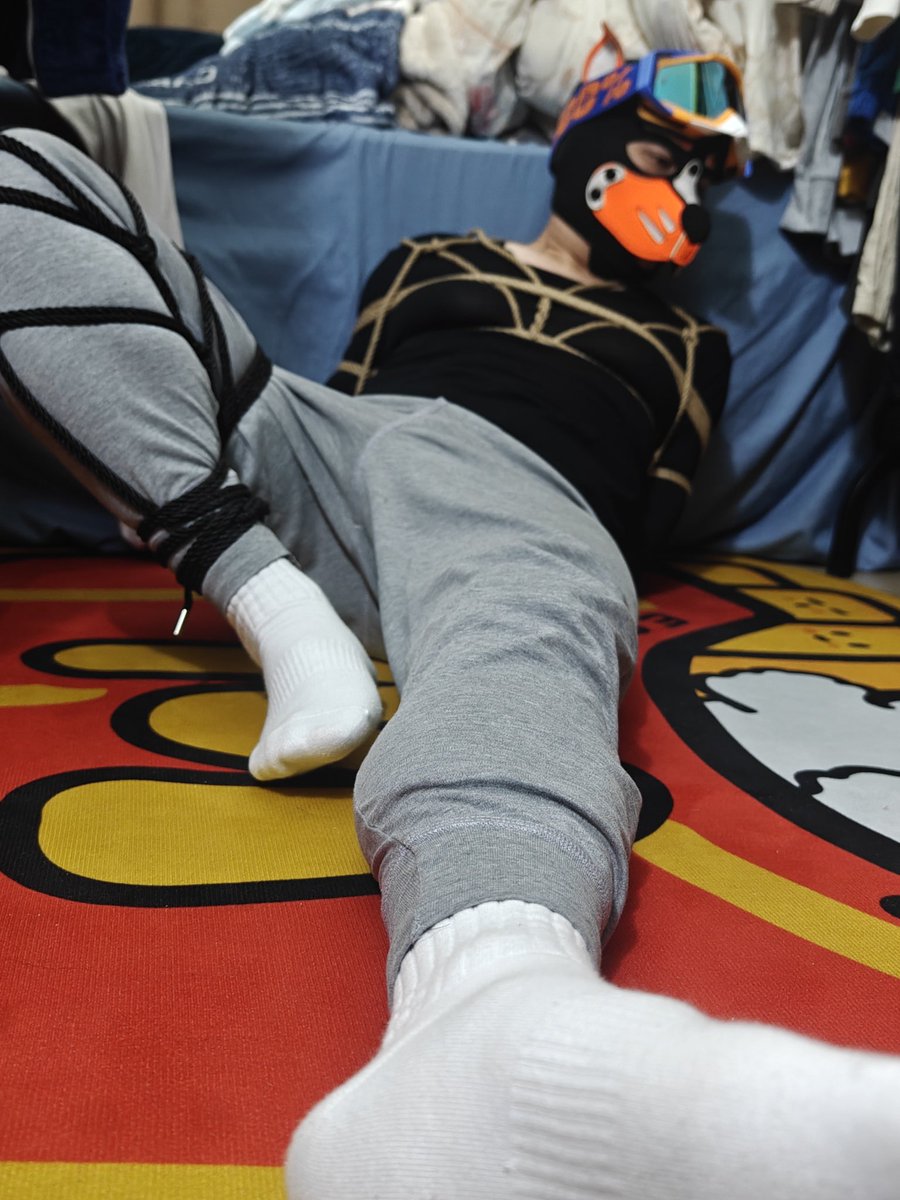 可乐🐶 tweet media