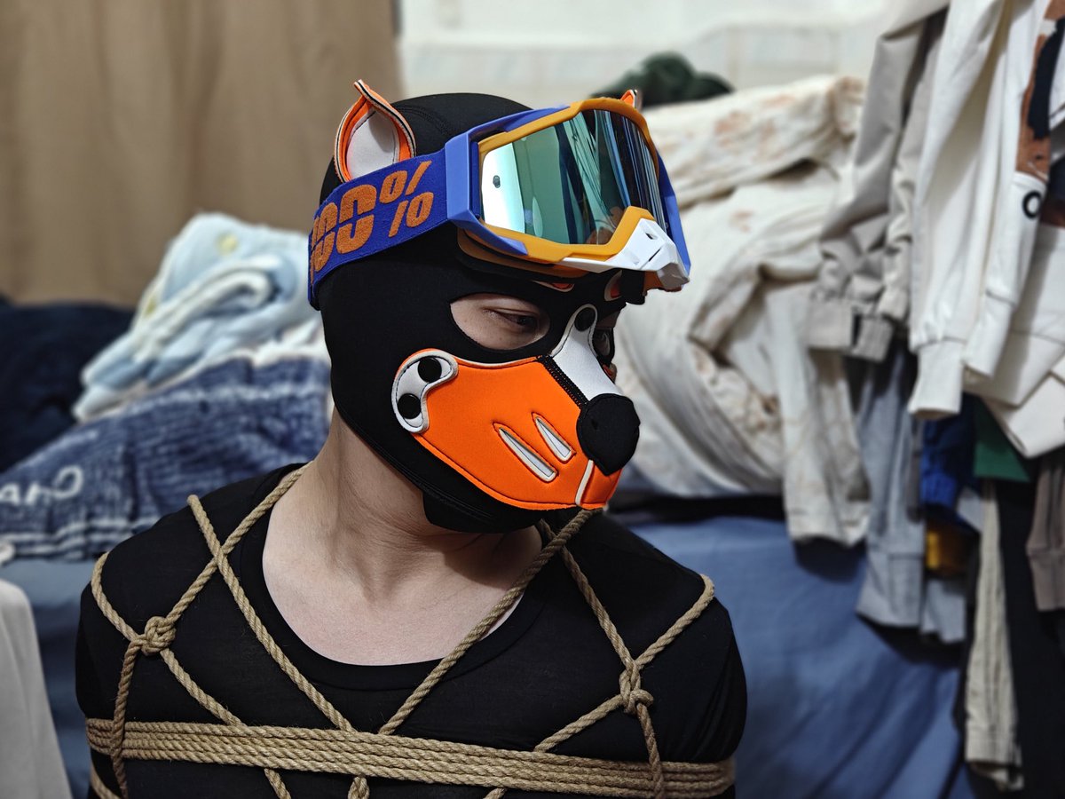 可乐🐶 tweet media