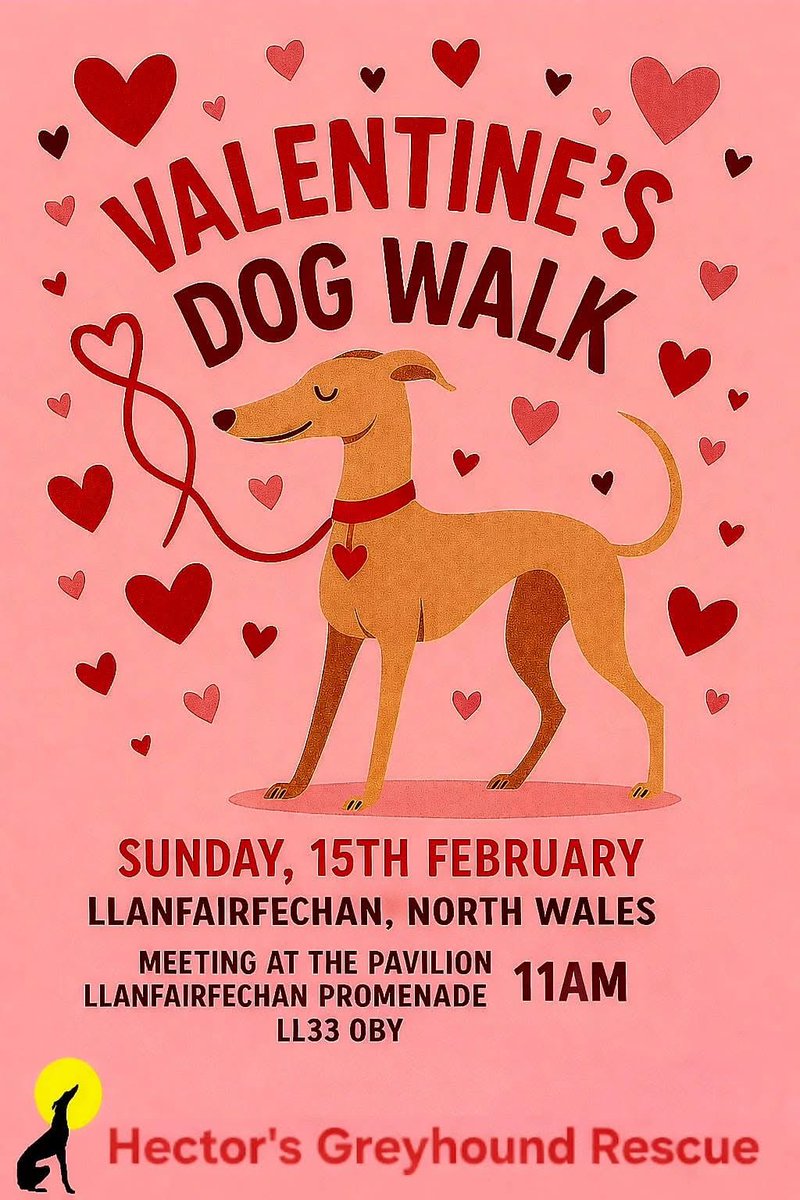 Hector’s Greyhound Rescue tweet media