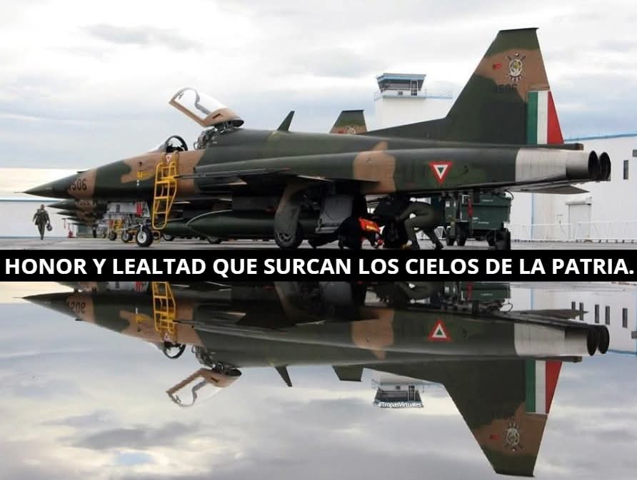 Fuerza Aérea Mexicana 🚁✈️🛩️🇲🇽