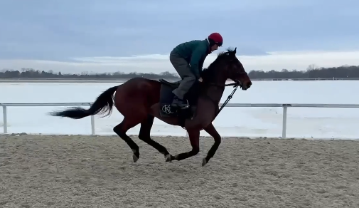 Pick4win's tweet photo. He look fabulous, can't wait for spring... #GoingCountry🇮🇪 https://t.co/PKBPCP2P9z