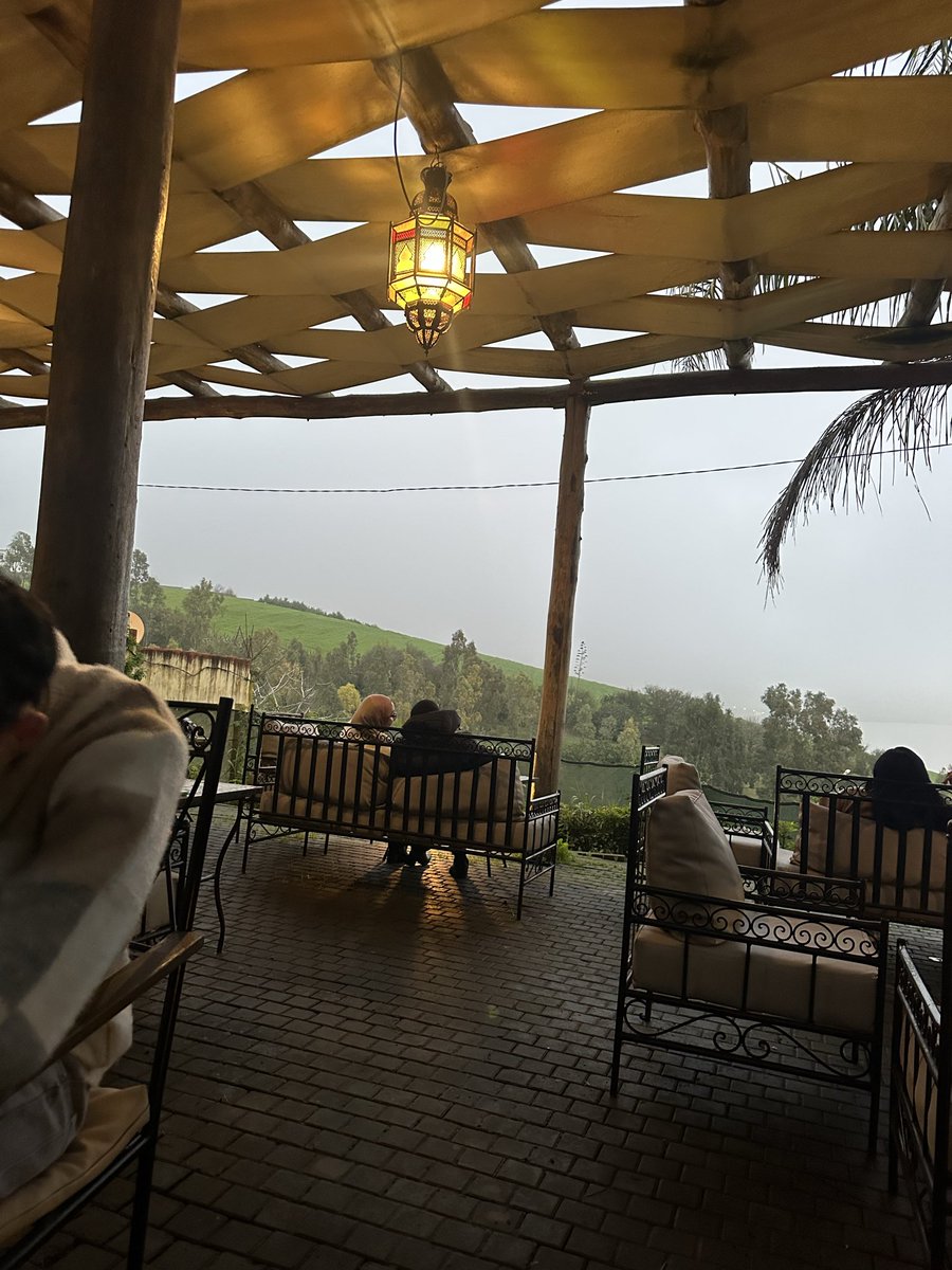 Marshall🦈 tweet media