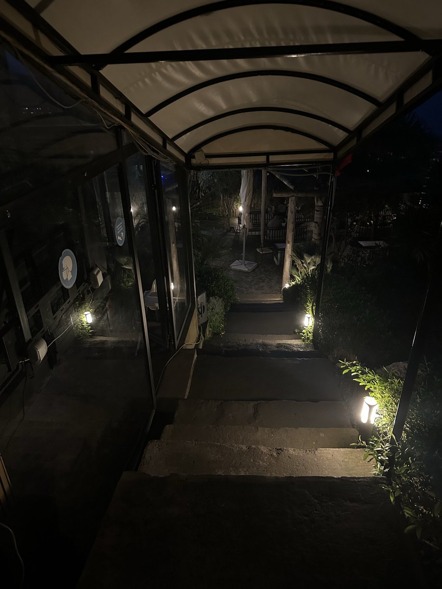 Marshall🦈 tweet media