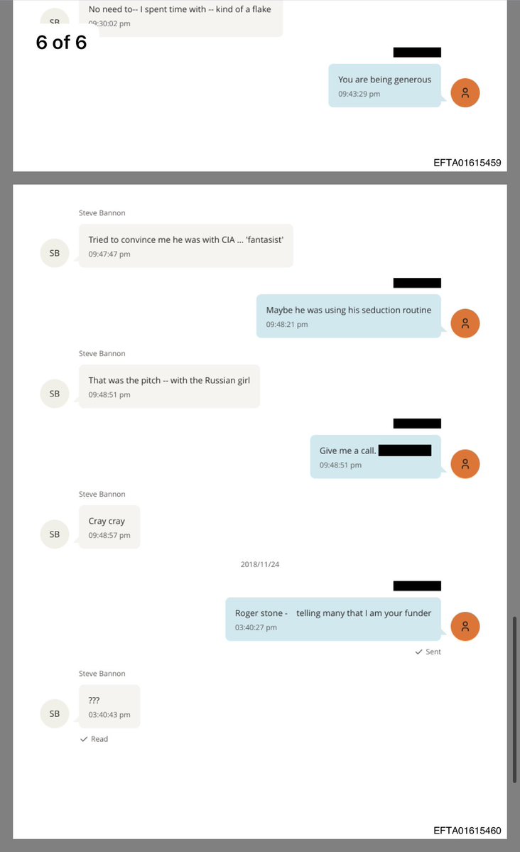 SmokingAces17's tweet image. In that exact same conversation, aren’t Bannon and Epstein also talking about @PatrickByrne, who has been funding @GenFlynn through America’s Future?

🤔