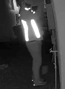 Salty Steno tweet media