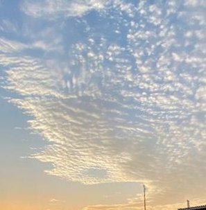 virtual_worldd's tweet image. スポーツで座る 🍚